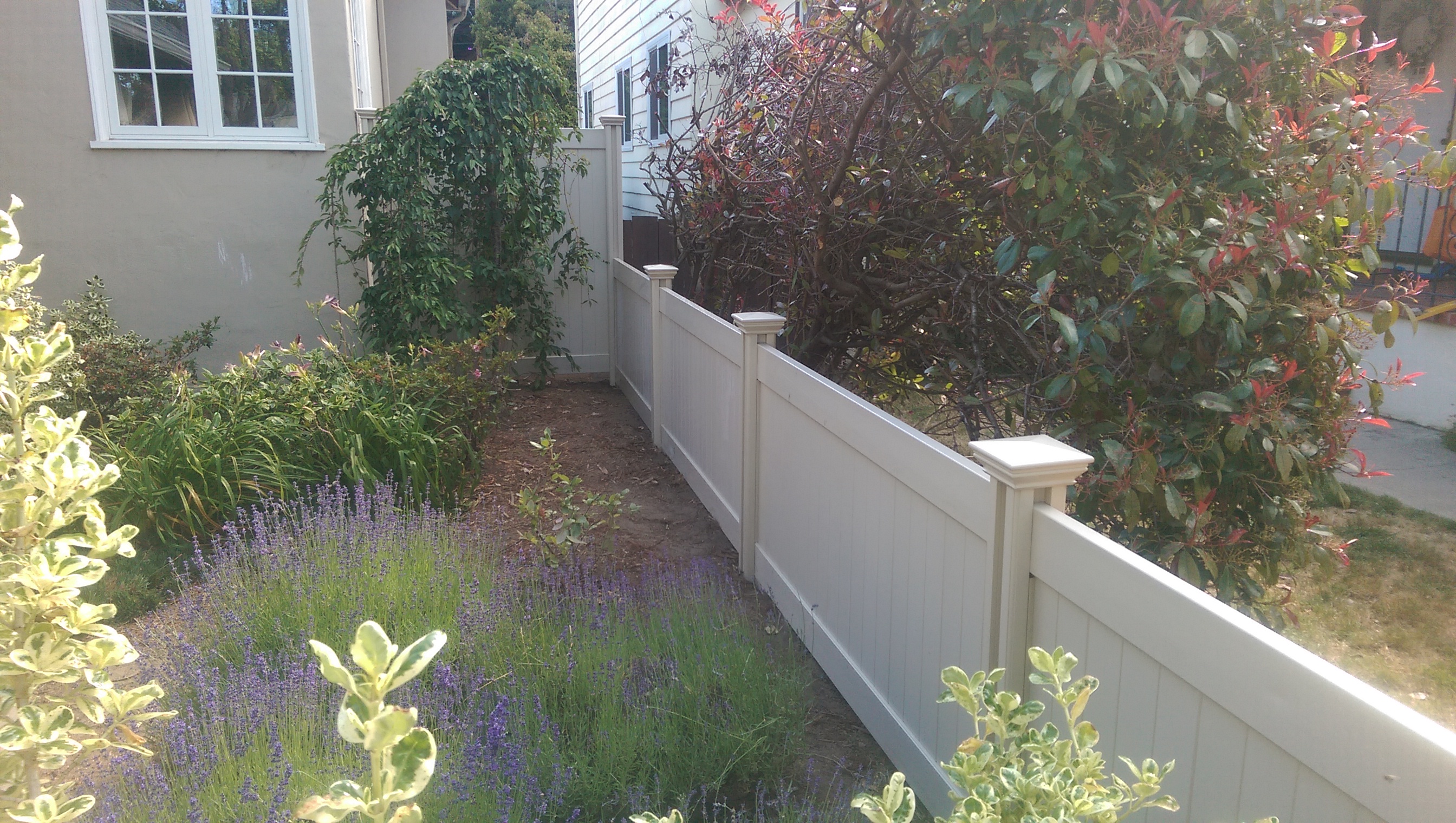 Dan replaced the wood fence with a tan privacy fence. He cuts it down from 6ft to 4ft.