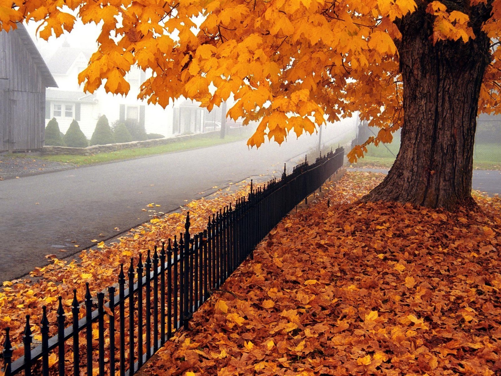 Fall is the Perfect Time to Install a Fence