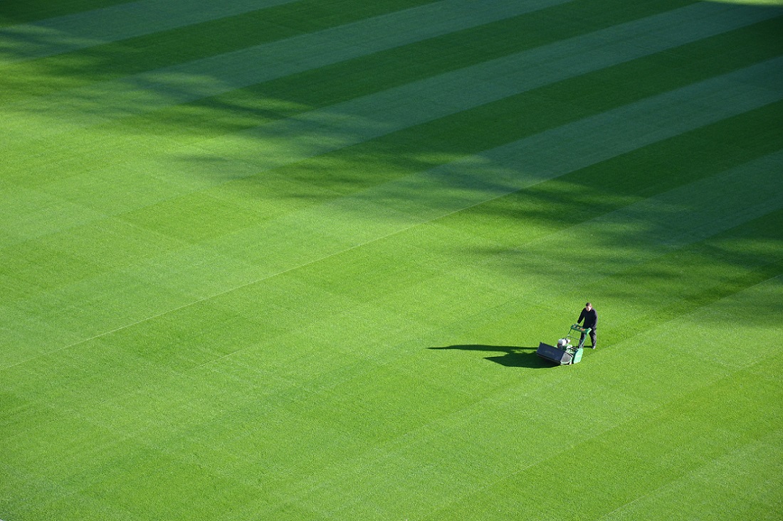 Cutting the Lawn Without Destroying the Fence