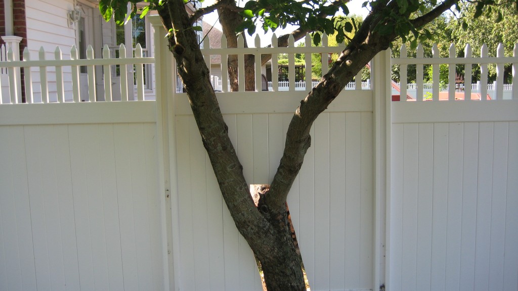 Only time you want a hole in your fence panel